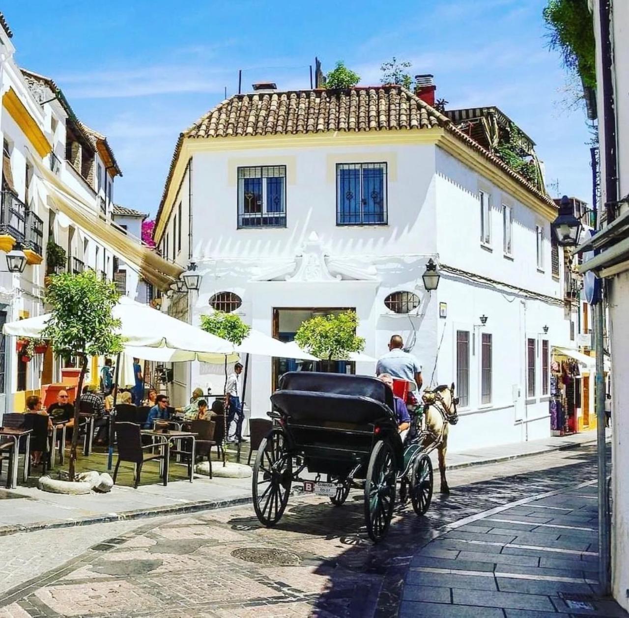 Apartamento El Cardenal Córdoba Eksteriør billede